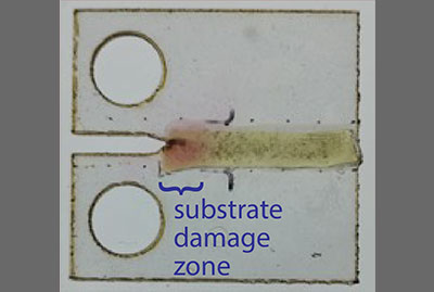 programmed bacterial coating