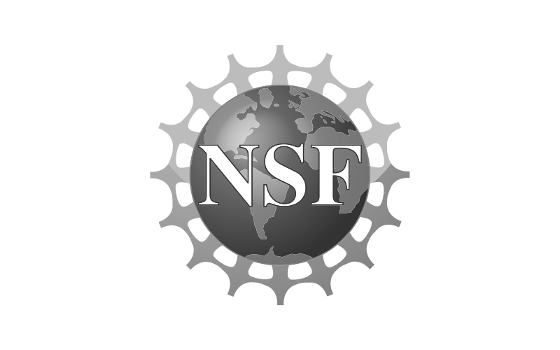 National Science Foundation logo